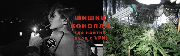 прущая мука Богданович