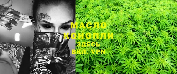 стаф Бородино