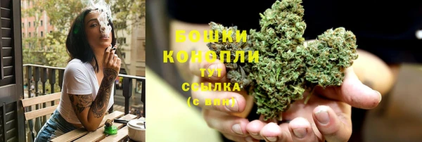 ГАЛЛЮЦИНОГЕННЫЕ ГРИБЫ Бронницы